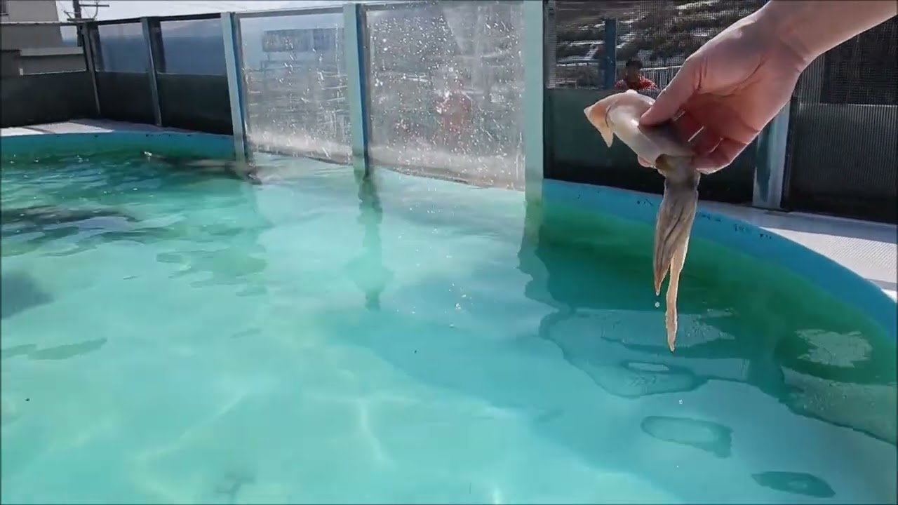 もさお Happy Birhday!!