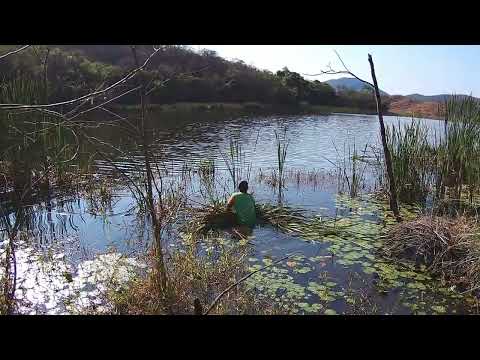 Pescaria top lagoa de peixe município de Peçanha MG lugar maravilhoso 