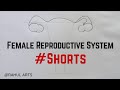 How to draw Female Reproductive System in easy steps #shorts #femalereproductivesystem #biology