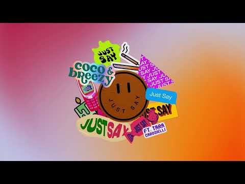 Coco & Breezy - Just Say (ft. Tara Carosielli) [Visualizer]