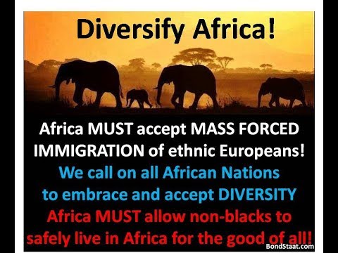 Save Africa, Diversify It! If it is good for Europe then why not Homogeneous Africa?