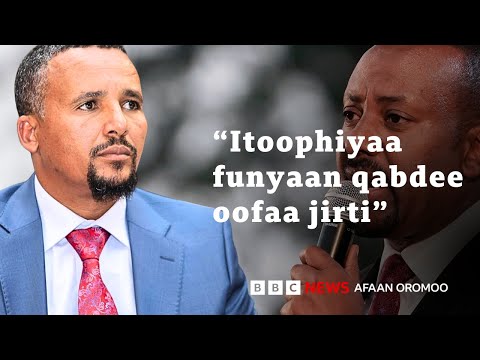 Jawaar ulaa galaanaa, muddama, MM Abiy, KFO fi egeree qabsoorratti | BBC News Afaan Oromoo