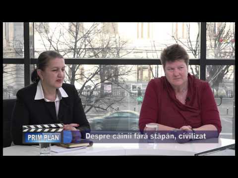 Emisiunea Prim-Plan VPTV – 18 februarie 2016