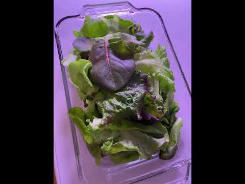 Ökos Garten 2021: Das Comeback! Permakultur-Juwel erblüht neu