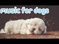 15 HOURS of Deep Sleep Relaxing Dog Music! NEW Helped 10 Million Dogs!