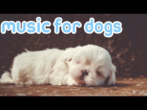 15 HOURS of Deep Sleep Relaxing Dog Music! NEW Helped 10 Million Dogs!