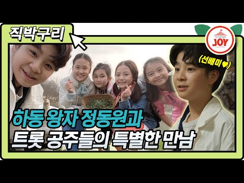 [직박구리]미스트롯 4공주 김다현 임서원 김지율 황승아에게 인기 폭발한 선배미 뿜뿜! 하동 프린스 정동원(210330 방송)