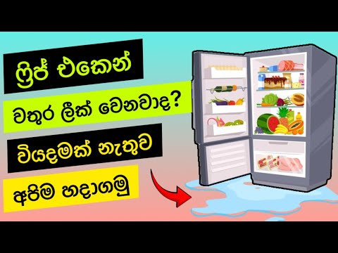 ෆ්‍රිජ් එකේ වතුර ලීක්ද? | How To Fix A Leaking Refrigerator QUICK! Water Leaking Fridge