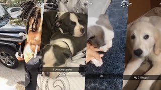 XXXTentacion - &quot; Taking my COUSIN to PROM &amp; LIL Demon Puppies (🐕) ! &quot;