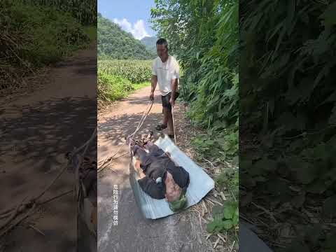 The driver's behavior was shocking!#kindness #inspiration #helpothers #viral