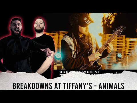 METALCORE BAND REACTS - BREAKDOWNS AT TIFFANY'S "ANIMALS" - REACTION / REVIEW