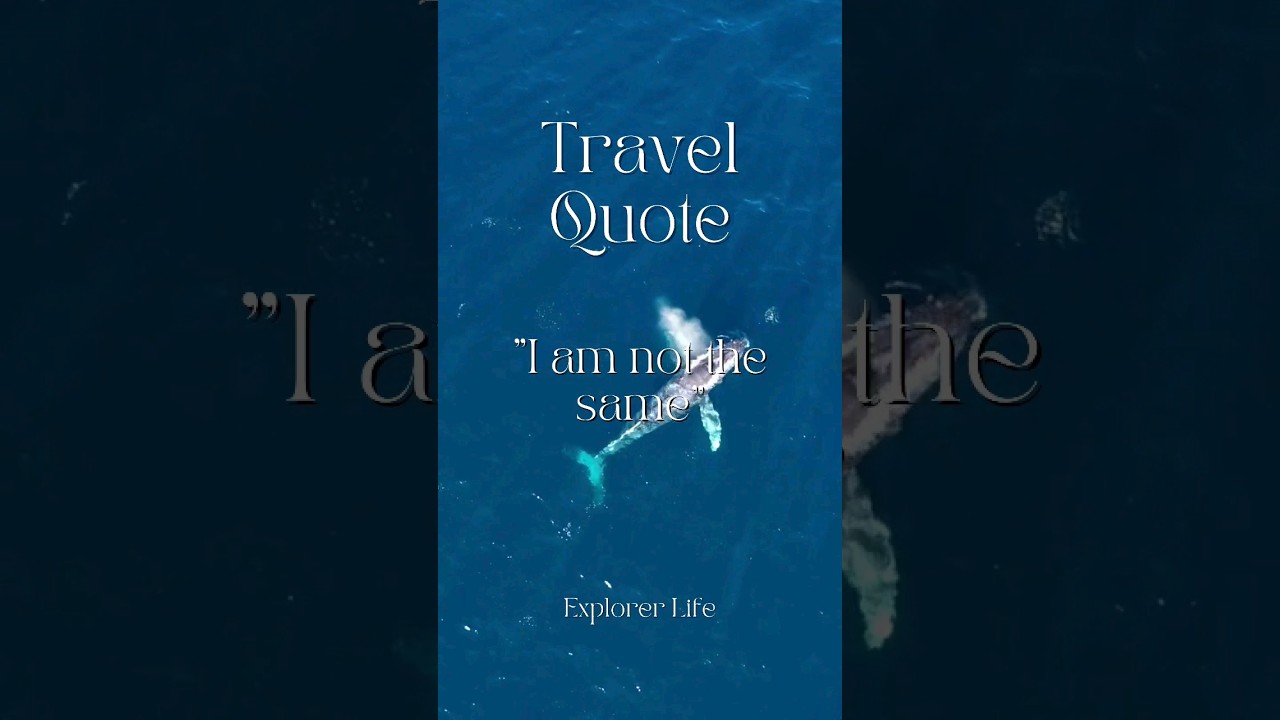 Travel Quote #travel #quotes #travelling #shorts #backpacking #backpacker #adventure #outdoors #live