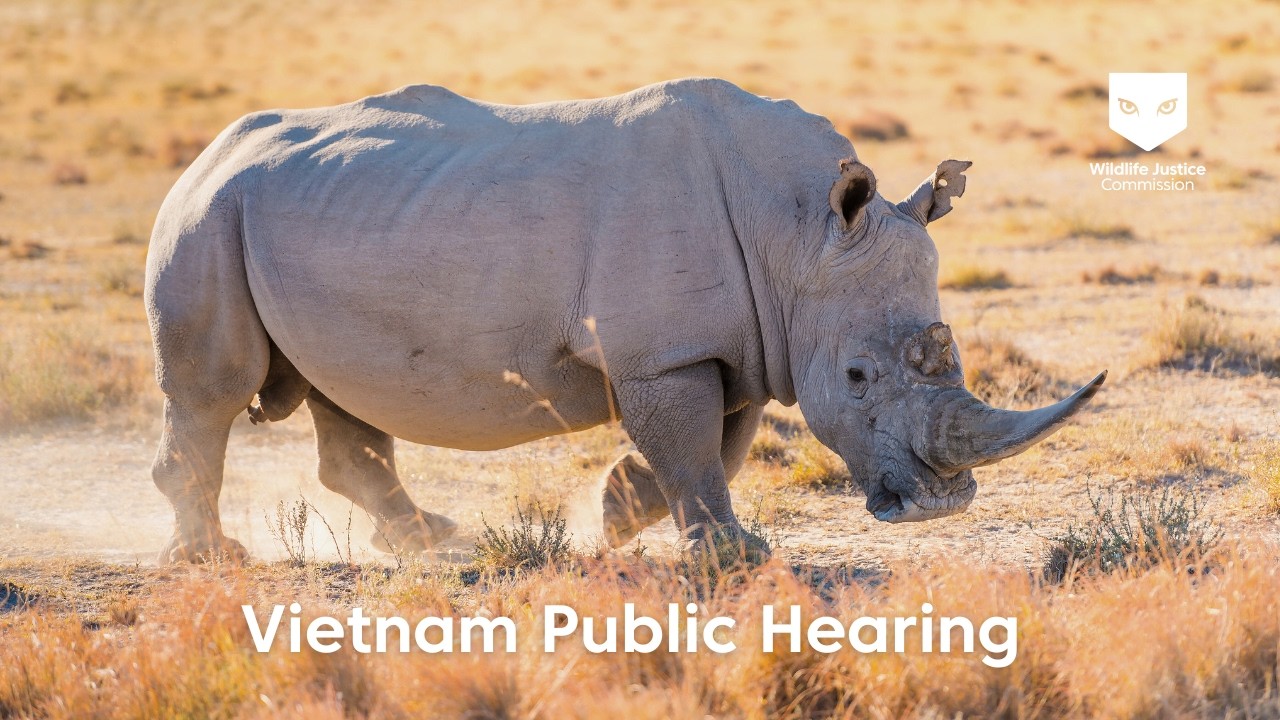 Vietnam Public Hearing | Wildlife Justice Commission