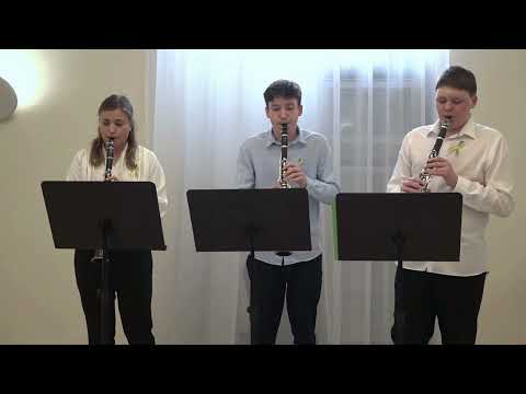 Klarinetové trio Marka Bureše