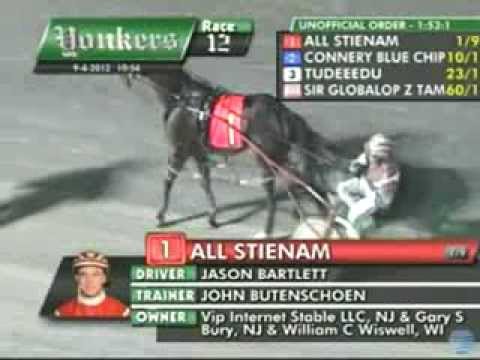 All Stienam YR Sept4