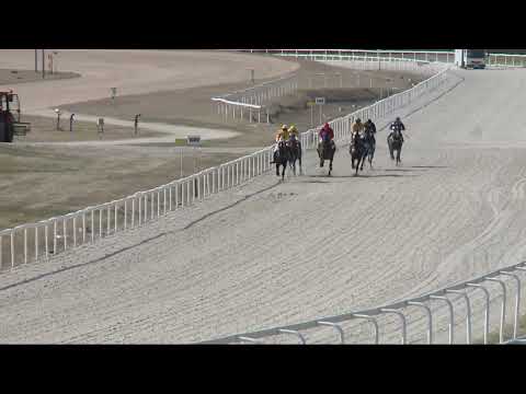 2022.03.27. 01. futam - HÓVIRÁG HENDIKEP (V.o.) (szintetikus pálya)