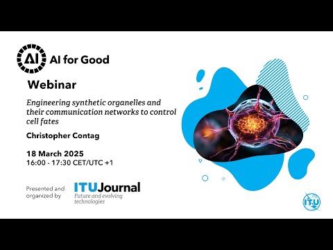 Engineering synthetic organelles and their communication networks to control cell fates​​