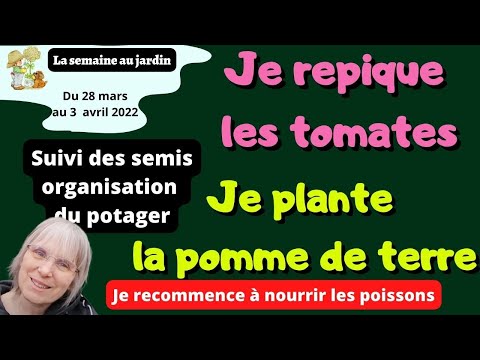 , title : 'Plantation des pommes de terre - repiquage des tomates- organisation du potager pour cette année.'