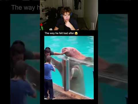 Animals have feelings for humans too..