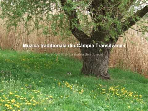 Aurel ŞUTEU- La umbra de sub acăţ