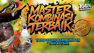 Download lagu MASTERAN KOMBINASI TERBAIK TERAPI AIR FULL ISIAN NEMBAK KASAR TAJAM!! mp3 Download lagu MASTERAN KOMBINASI TERBAIK TERAPI AIR FULL ISIAN NEMBAK KASAR TAJAM!! mp3