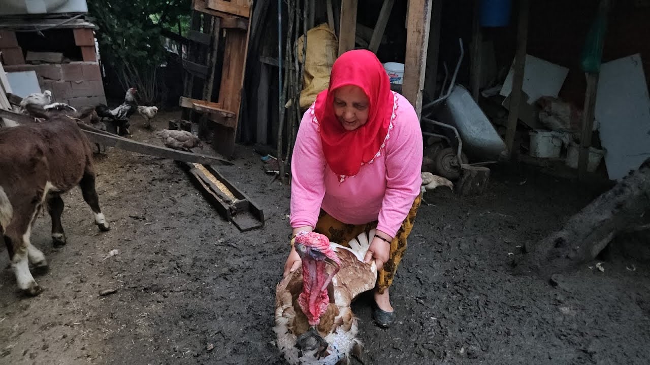 ‼️UNUTAMAYACAĞIM BİR GÜN‼️