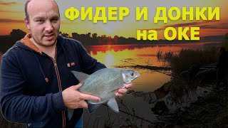 Где ловить на фидер в московской области