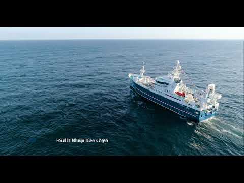 C795 ADENIA FISHING LTD - MID WATER TRAWLER 69 MTS