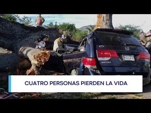 Caída de árbol deja cuatro personas fallecidas en Jutiapa