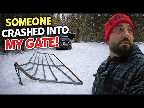 SOMEONE CRASHED INTO MY GATE + COMPLETED WILD ANIMAL FORT!