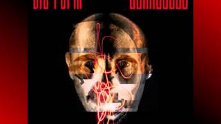 Die Form -  Schaulust  (Scopic Pulsion)  ( 2014 )