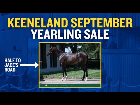 KEE SEPT SALE PREVIEW: Hip #66 Half to Jace's Road