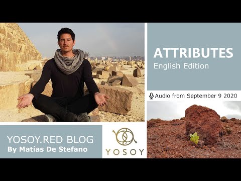 Matías De Stefano, Day 37 - ATTRIBUTES - YOSOY.RED BLOG: Root - Mental - Virgo, Read by Celena 9/9