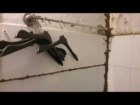 Cách xịt thuốc vào hộp nhử mối