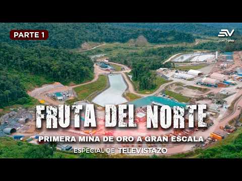 Zamora Chinchipe: Fruta del Norte, mina de oro a gran escala | Especial Televistazo | Ecuavisa