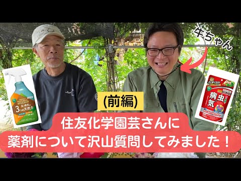 園芸 スカッシュに関するよくある質問