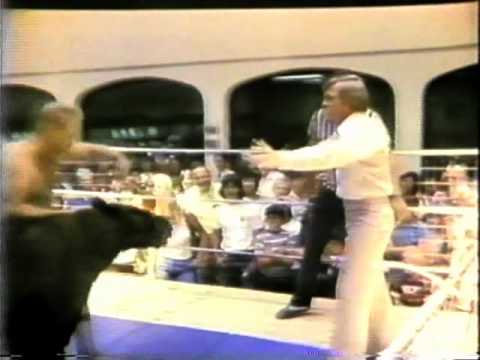 Mike Stroot - Bear Wrestling at Jamestown Mall - News Channel 2