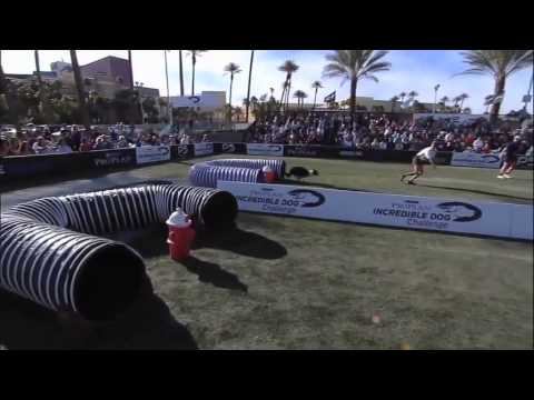 2013 IDC National Championships - Preview of 30-Weave Up-and-Back