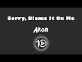 Akon Sorry Blame It On Me 10 Hour NIGHT LIGHT Version