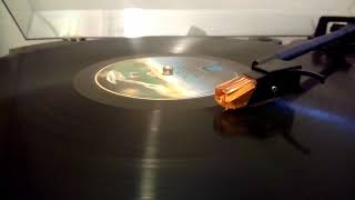 Dire Straits - Lions  (Vinyl)