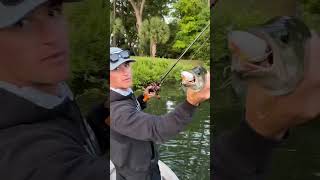 How to Catch a Fish #Shorts