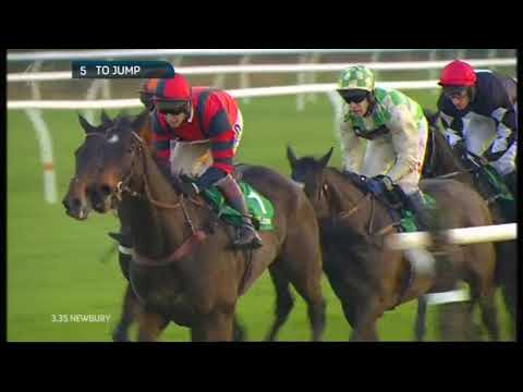 2014 bet365 Handicap Chase