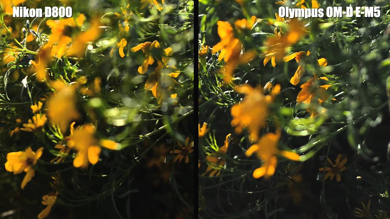 Фотоаппарат Olympus OM-D E-M5 Body, черный