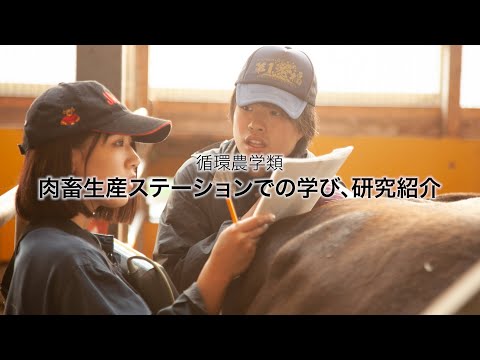 先端経営学科 肉畜生産ステーションでの学び、研究紹介　｜　酪農学園大学　循環農学類　学類紹介