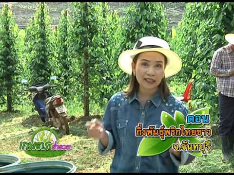 เชื้อโรคบางอย่างสำหรับผู้หญิงในการขาย วิธีการเพิ่มสมาชิก 13
