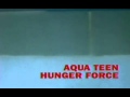 Adult Swim 2001 Pool Bump 4 Aqua Teen Next