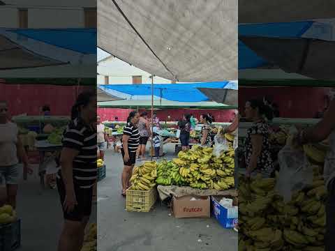 Feira livre de Sanharó  Pernambuco
