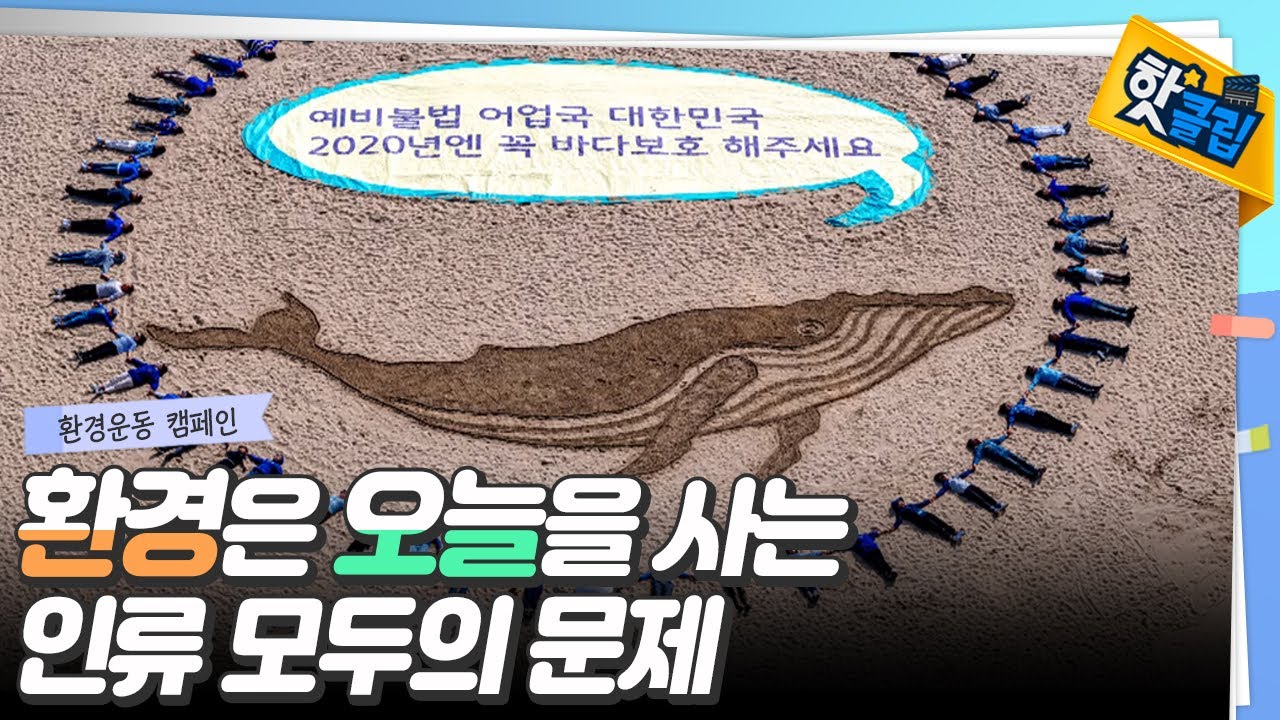 청년과 청소년이 주도하는 환경운동 / YTN 사이언스