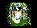 The Vines - Highly Evolved (Track 1) 