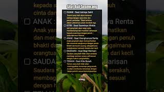 Download lagu Sifat Asli Seseorang 💕 #quotes #quote #islam #islamituindah #motivasi #spiritual mp3 Download lagu Sifat Asli Seseorang 💕 #quotes #quote #islam #islamituindah #motivasi #spiritual mp3